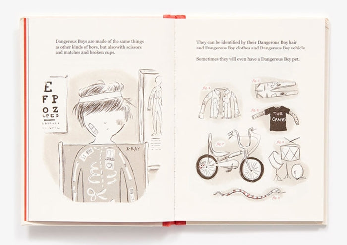 Boys: An Illustrated Field Guide — By Heather Ross