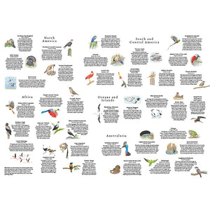 Around the World in 50 Birds Puzzle Fold Out