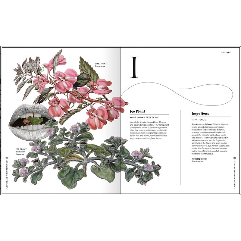 Flowers and Their Meanings: The Secret Language and History of Over 600 Blooms ( A Flower Dictionary) —  By Karen Azoulay