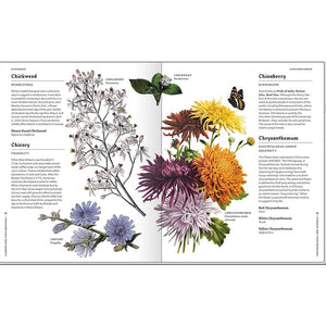 Flowers and Their Meanings: The Secret Language and History of Over 600 Blooms ( A Flower Dictionary) —  By Karen Azoulay