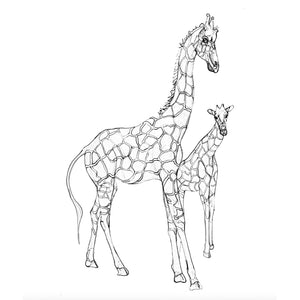 Nature's Portraits Giraffe