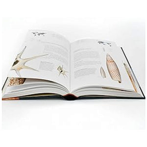 THE BOOK OF SHELLS: A LIFE-SIZE GUIDE TO IDENTIFYING AND CLASSIFYING SIX HUNDRED SEASHELLS — BY M.G. Harasewych & Fabio Moretzsohn