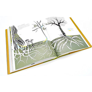 Trees: From Root to Leaf — By Paul Smith