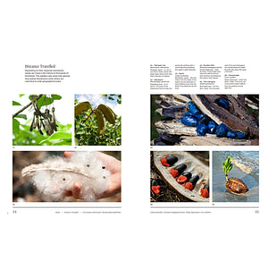 Trees: From Root to Leaf — By Paul Smith