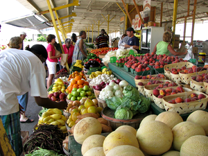 New Vegetarian Cooking for Everyone — By Deborah Madison