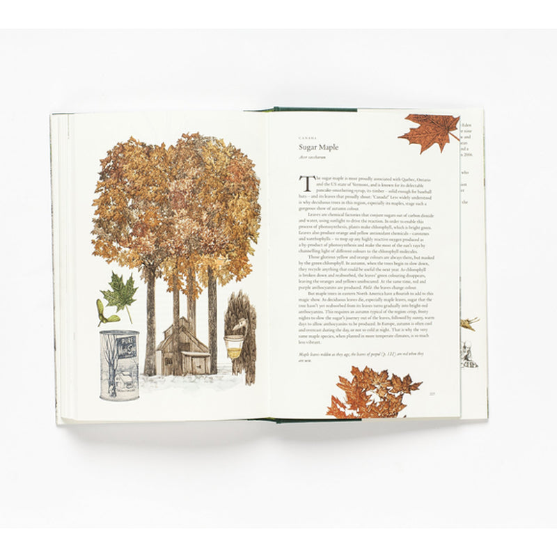 Around the World in 80 Trees by Jonathan Drori