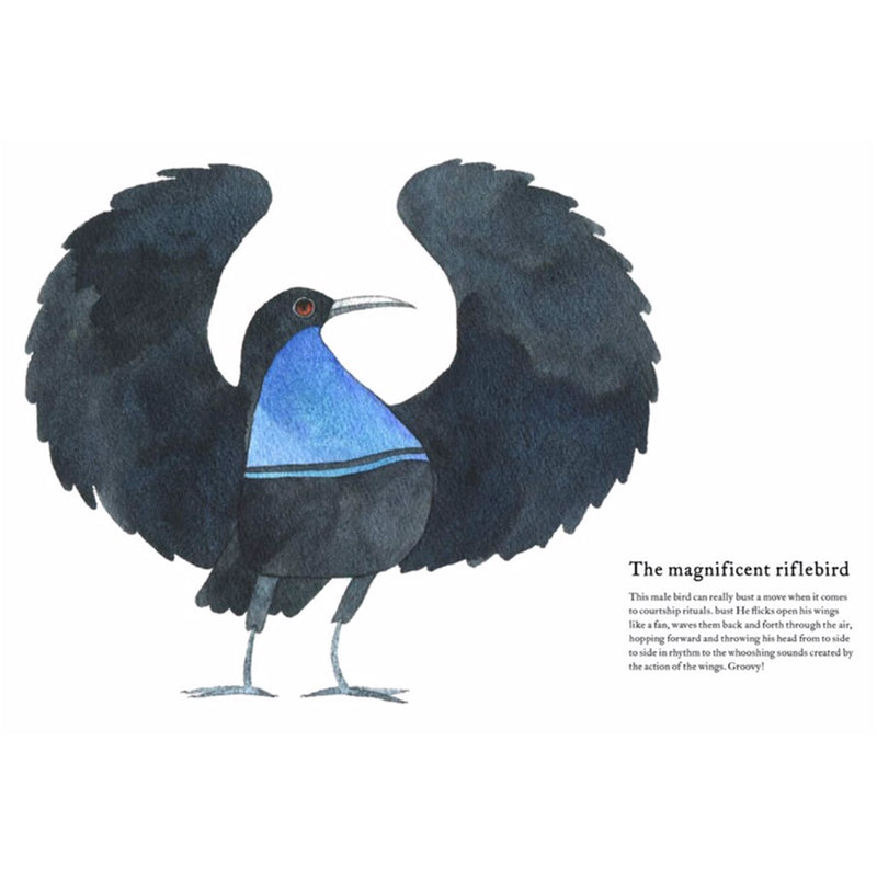 The Atlas of Amazing Birds — by Matt Sewell (Author, Illustrator)