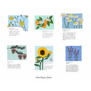 Flower Box: 100 Postcards by 10 Artists (100 botanical artworks by 10 artists in a keepsake box)