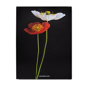 FLOWERS: ART & BOUQUETS — BY SIXTINE DUBLY & CARLOS MOTA