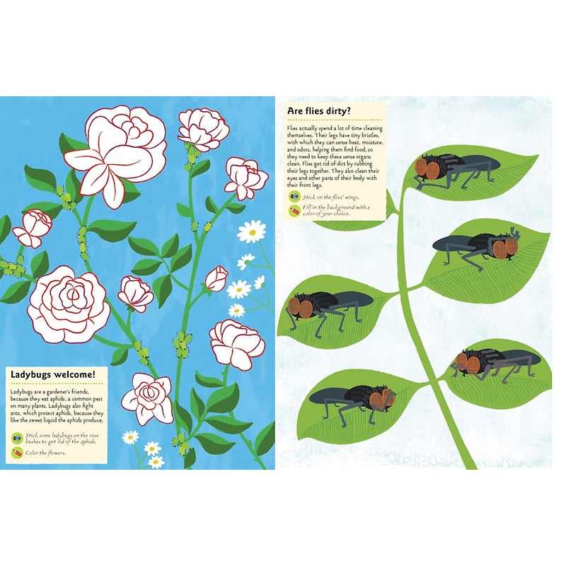 Garden Insects and Bugs: My Nature Activity Sticker Book - Science Activity and Learning Book for Kids With Coloring, Stickers and Quiz