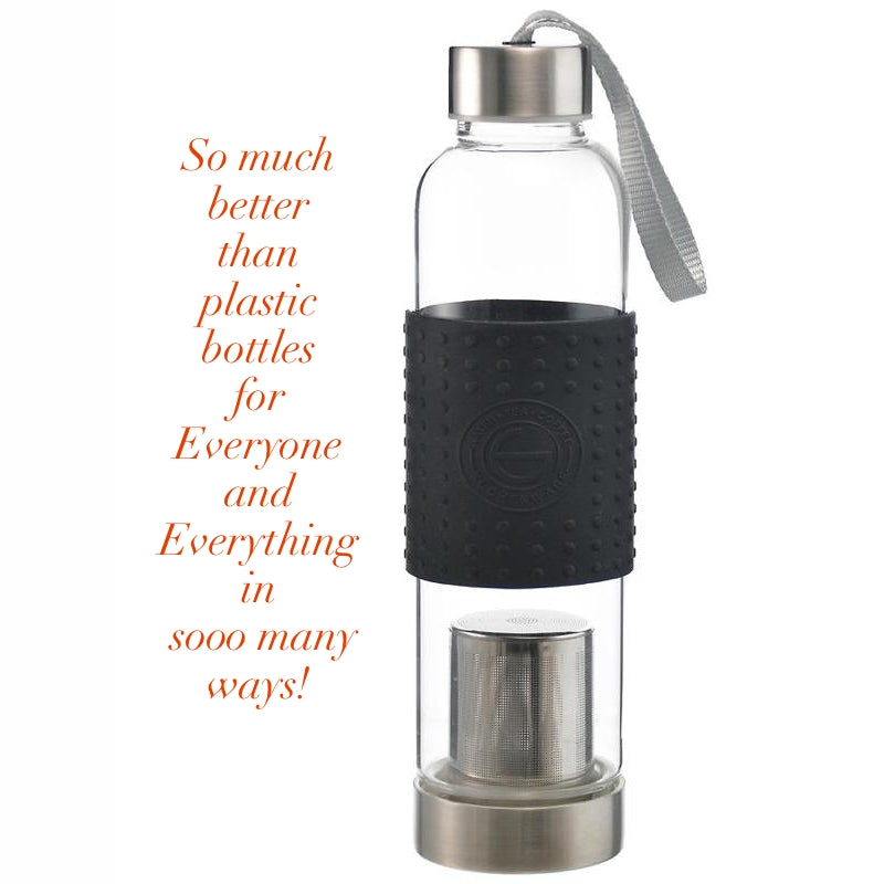 Water, Tea and Coffee Marino Travel Infuser in Black - 18.6 ounces — By GROSCHE