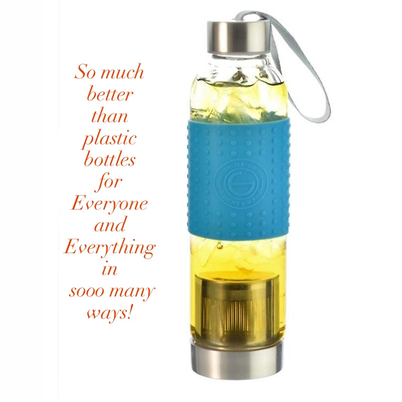 Water, Tea and Coffee Marino Travel Infuser in Blue - 18.6 ounces — By GROSCHE