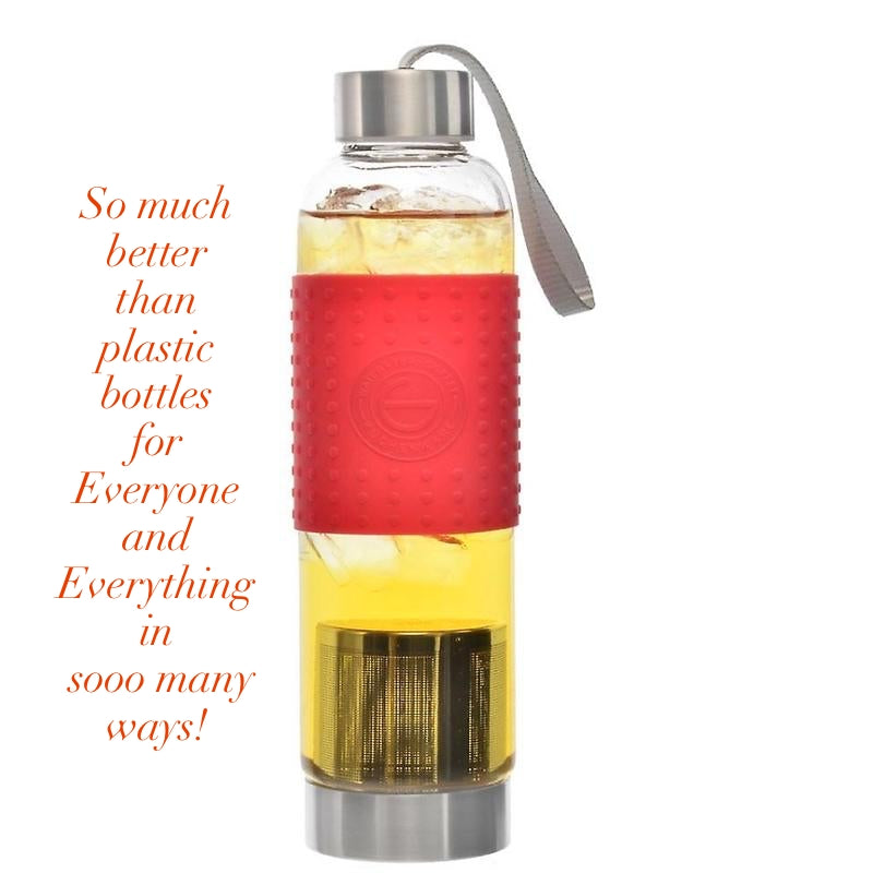 Water, Tea and Coffee Marino Travel Infuser in Red - 18.6 ounces — By GROSCHE