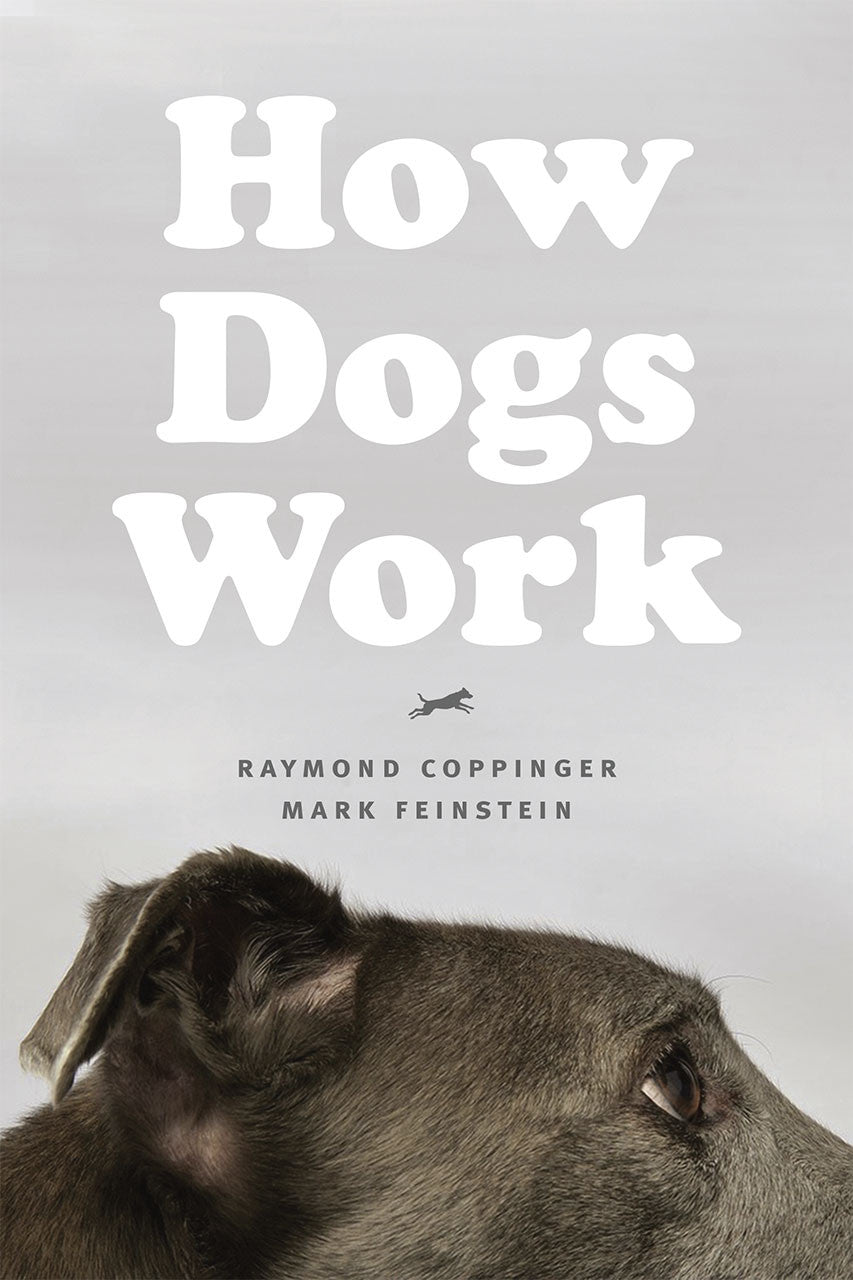 How Dogs Work -- Raymond Coppinger & Mark Feinstein