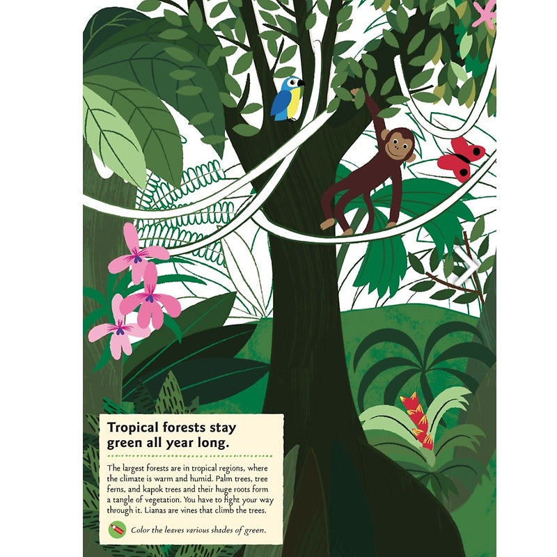 In the Forest: My Nature Sticker Activity Book - Science Activity and Learning Book for Kids With Coloring, Stickers and Quiz
