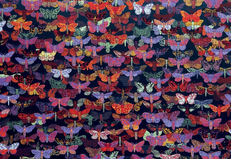 John Dilnot Night Flight Puzzle - 1000 pieces — Pomegranate Artpiece Puzzle