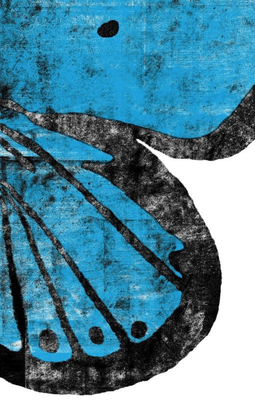 ORIGINAL ART — Karner Blue Butterfly Limited Edition, Signed, Hand-Pulled Screen Print - By Jeremy Payne