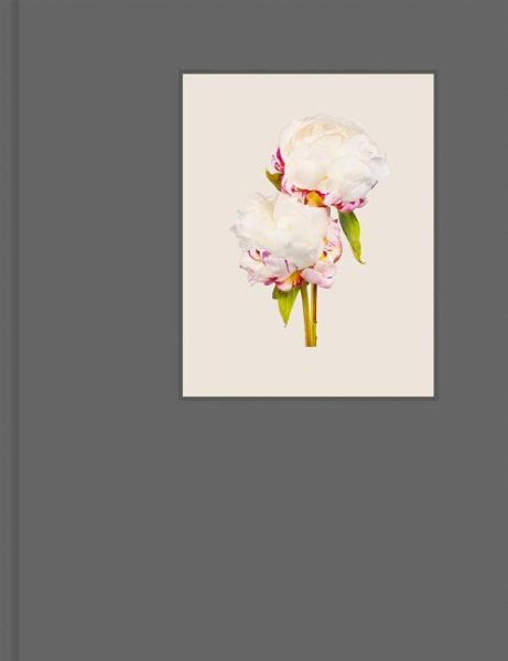 The Most Beautiful Flowers -- Kenji Toma