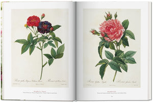 Redoute'. The Book of Flowers — By H. Walter Lack