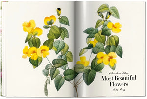 Redoute'. The Book of Flowers — By H. Walter Lack