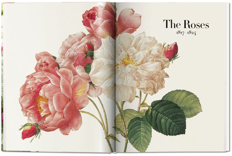 Redoute'. The Book of Flowers — By H. Walter Lack