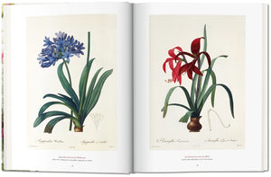 Redoute'. The Book of Flowers — By H. Walter Lack