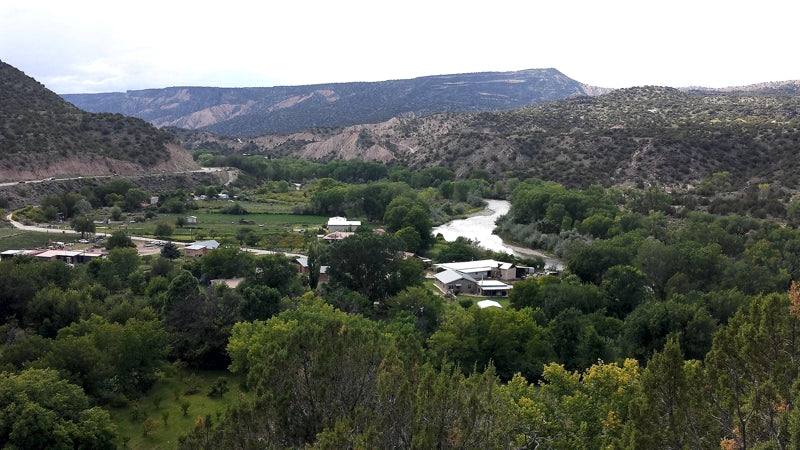 Artist Sara Griego's orchard near the Rio Grande River in the mountains of Northern New Mexico, where she gathers the flora for her Nature's Diary's scarves