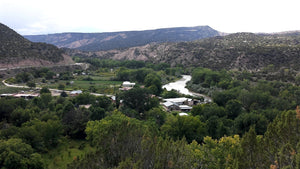 Artist Sara Griego's orchard near the Rio Grande River in the mountains of Northern New Mexico, where she gathers the flora for her Nature's Diary's scarves