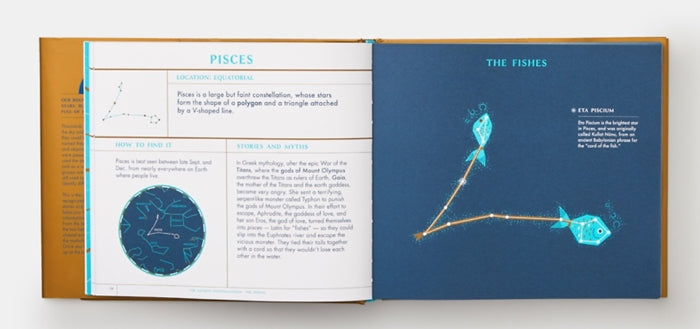 Seeing Stars: A Complete Guide to the 88 Constellations — By Sara Gillingham