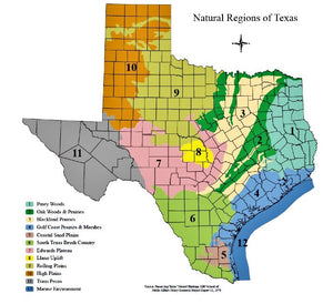 TEXAS — Texas Nature and Environmental Centers Guide — By Daniel W. Moulton, Ph.D.