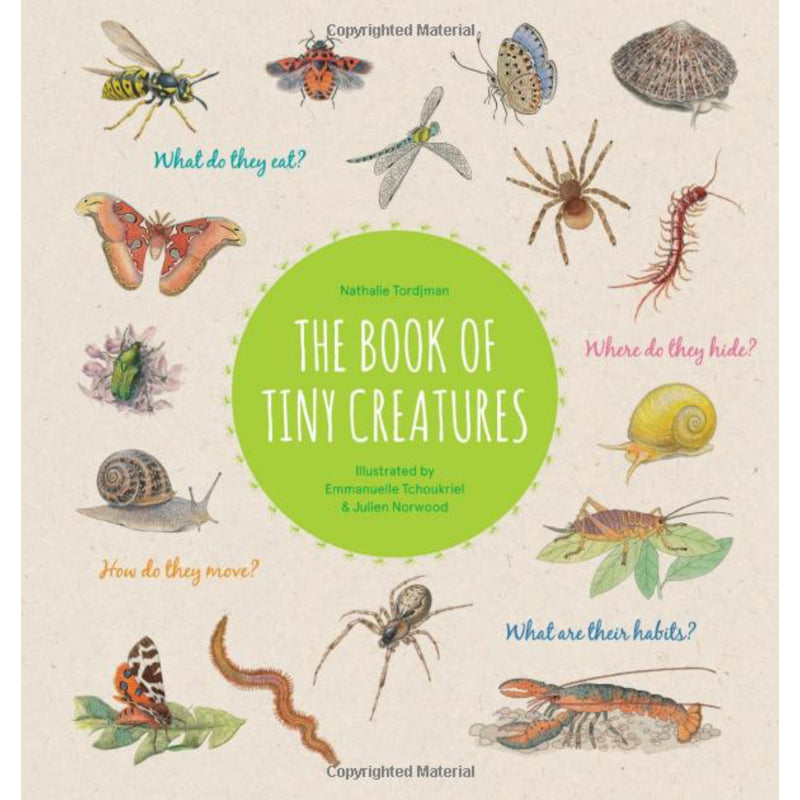 The Book of Tiny Creatures — by Nathalie Tordjman (Author), Julien Norwood (Illustrator), Emmanuelle Tchoukriel (Illustrator)
