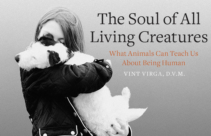The Soul of All Living Creatures: What Animals Can Teach Us About Being Human — Vint Verga, DVM