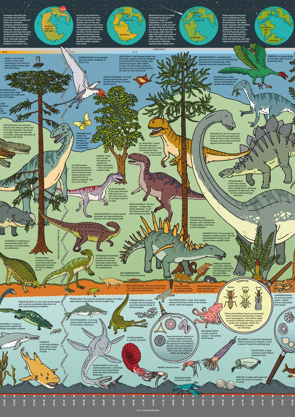 The What on Earth? Wallbook of Natural History