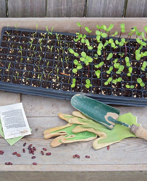 Vegetables Love Flowers: Companion Planting For Beauty and Bounty — Lisa Mason Ziegler