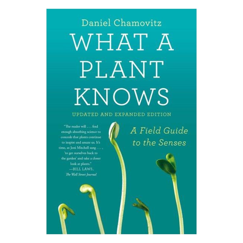 What A Plant Knows: A Field Guide to the Senses
