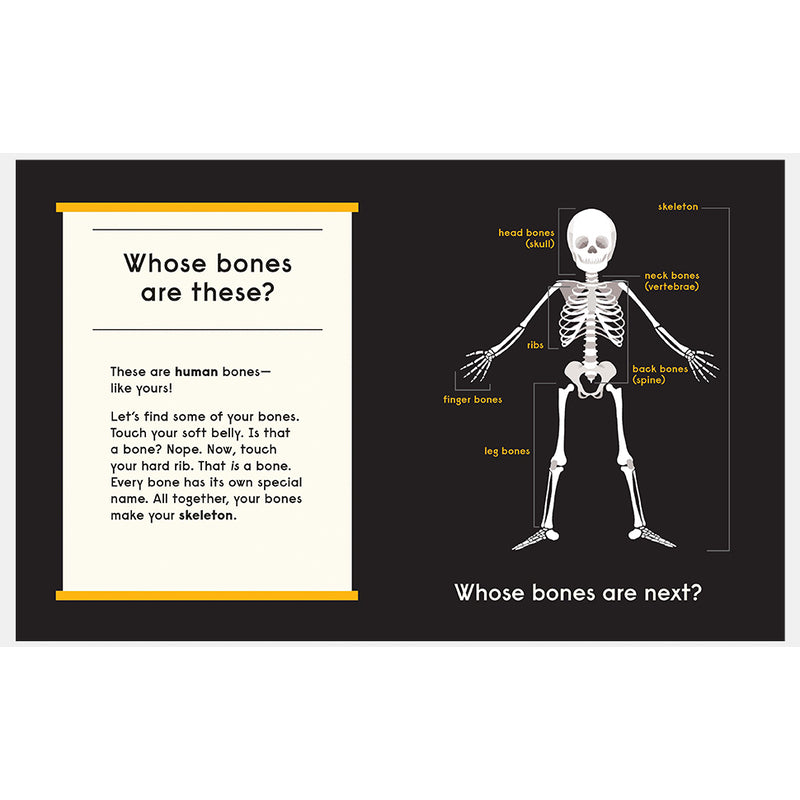 Whose Bones?: An Animal Guessing Game — by Gabrielle Balkan and Sam Brewster
