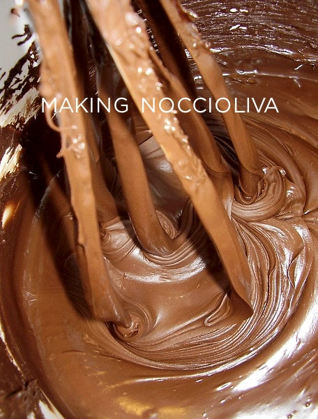 NOCCIOLIVA — Smooth Hazelnut and Chocolate Spread with Italian Extra Virgin Olive Oil - 8.8 ounces — From IL COLLE DEL GUSTO — ARTISAN CRAFTED IN ITALY