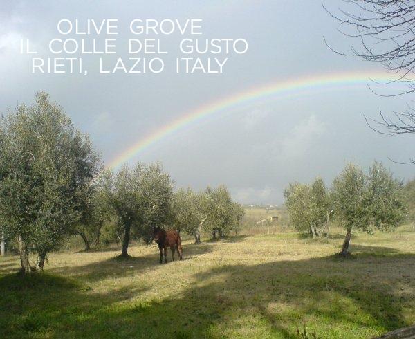 Chocolate, Chopped Hazelnut, Italian Olive Oil Granellona Brut — By Il Colle Del Gusto